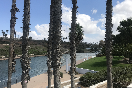 פארק נחל חדרה. צילום: חני קהלני, ארכיון הצילומים של קקל