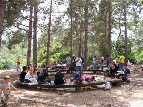 מבלים בחיק הטבע ביער חניתה.  צילום: ארכיון צילומי קק''ל