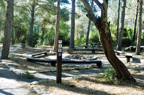 חניון חומה ומגדל. צילום: ארכיון צילומי קק''ל