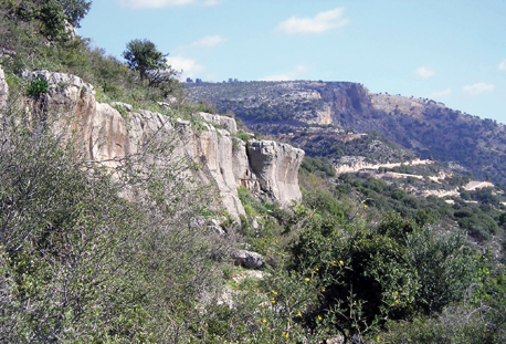 שביל הצניר.  צילום: ארכיון צילומי קק''ל