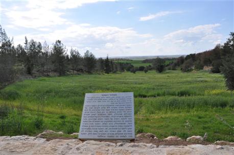 מצפור השקד ביער חרובית. צילום: רונית סבירסקי