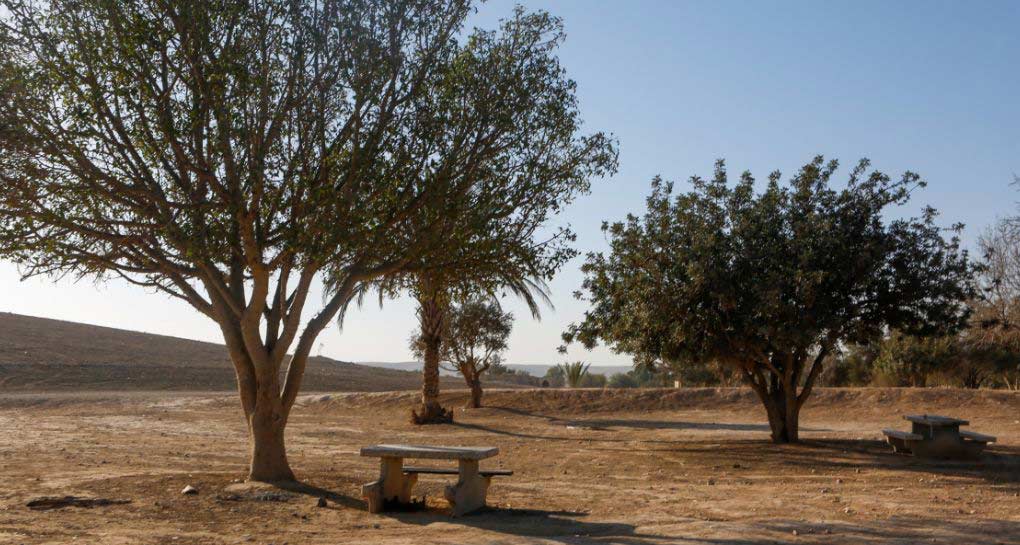 דרך-הפסלים-יער-חצרים_אמנון-גוטמן