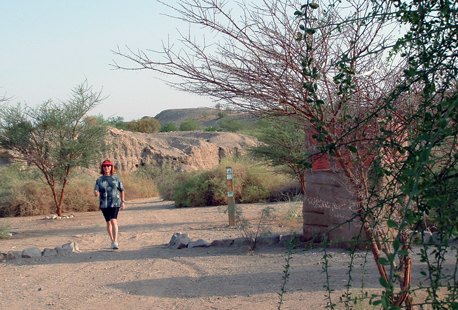 צעידה בפארק הולנד.  צילום: טלילה ליבשיץ