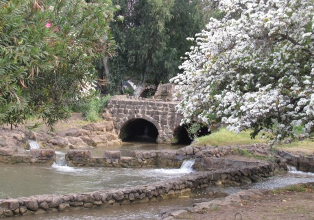 זרימת מים בפארק הירדן. צילום באדיבות צוות הפארק