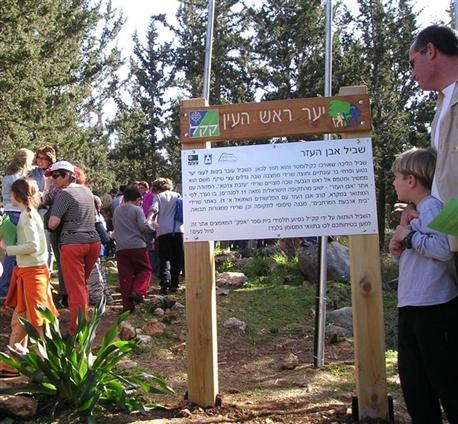 יער ראש העין. צילום: ארכיון צילומי קק"ל
