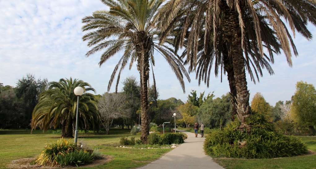 בארות יצחק. צילום: יעקב שקולניק