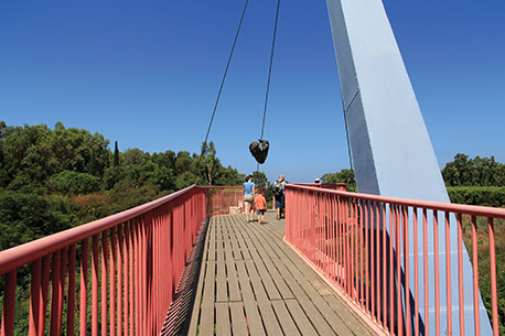 הגשר התלוי בפארק איטליה. צילום: יעקב שקולניק