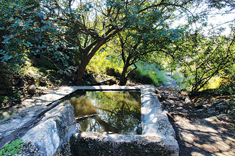 עין איילה. צילום: ארכיון צילומי קק"ל