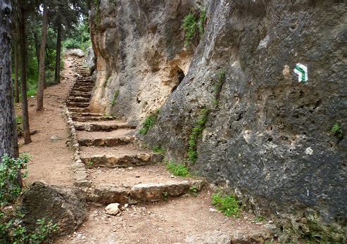 שביל הקדושים ביער הקדושים. צילום: יעקב שקולניק