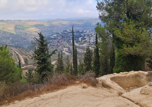 שביל המעיינות. צילום: בלה נודלמן, קק"ל