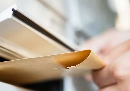 צילום: shutterstock