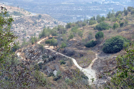 מבט כללי לעבר פארק ירושלים.  צילום: רונית סבירסקי