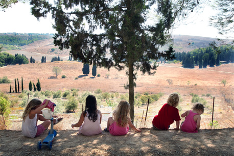 הפארק הביוספרי מגידו.  צילום: ארכיון הצילומים של קק''ל