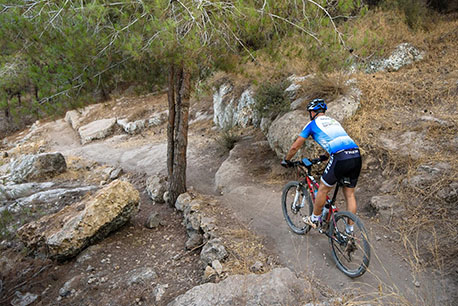 רוכב אופניים ביער בן שמן. צילום: ארכיון הצילומים של קקל