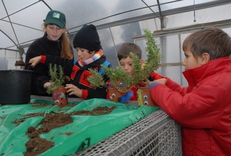 פעילות במשתלת גולני. צילום: מיכאל חורי
