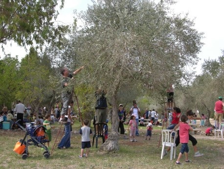 משפחות במסיק ביער לביא. צילום: דורון הורוביץ