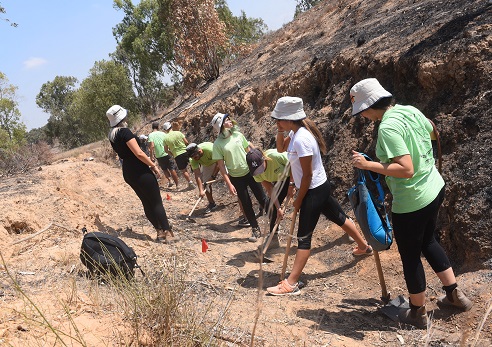 מכינת דרך ארץ נוער עבודה ביער חורשים. צילום: ליאור איפרגן, ארכיון הצילומים של קקל