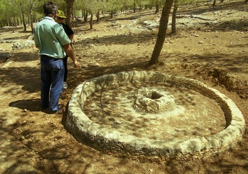 יער יתיר - שביל מתקנים חקלאיים. צילום: ישראל סיני -קק"ל