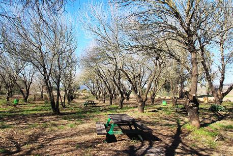 חניון דרום אפריקה. צילום: יעקב שקולניק, ארכיון צילומי קקל