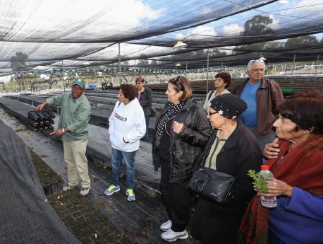 מנהל משתלת גולני הירוי אמרה בפעילות עם קבוצת מבקרים. צילום: דרור ארצי