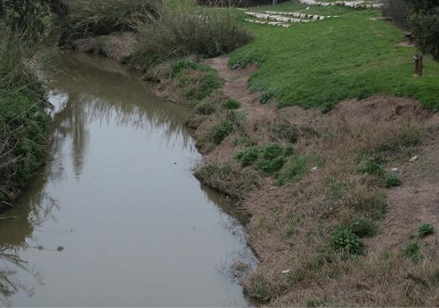 נחל אלכסנדר. צילום: שמעון לב, ארכיון צילומי קקל