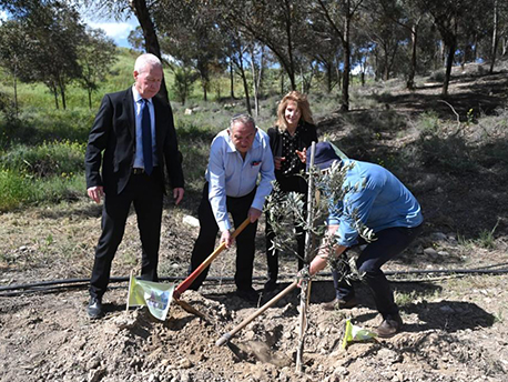 נוטעים לזכר הבנות. צילום: מערך ההסברה, קק"ל
