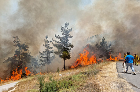כיבוי השריפה ביער החמישה בהרי ירושלים.  צילום: עובדי קקל

