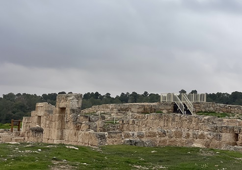 שרידי מבנה בחורבת ענים. צילום: אורנית גינת, קק"ל