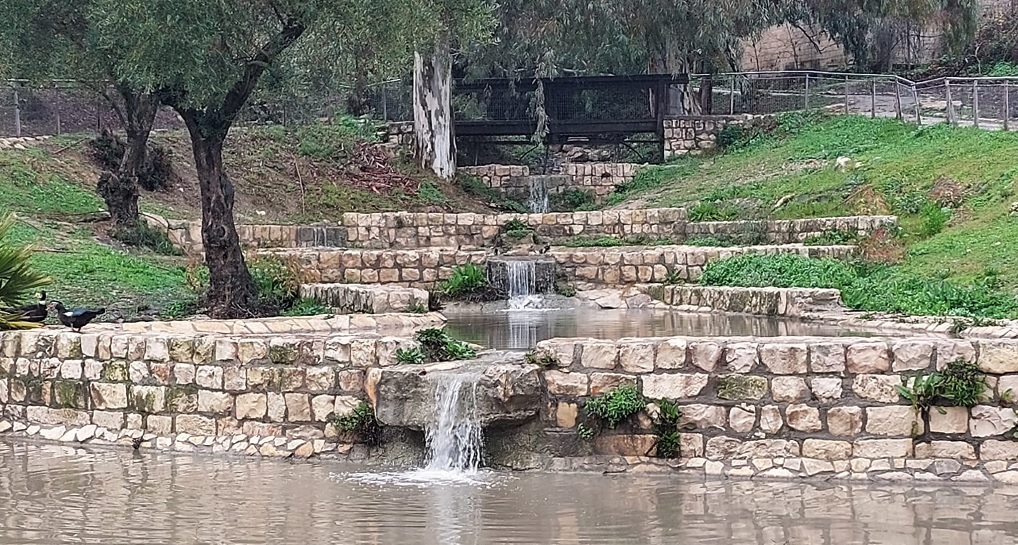 צילום: אבישי חמוז כהן, קקל