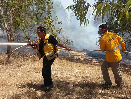 לוחמי אש של קקל בכיבוי שרפת יער בדרום. צילום: עובדי קקל