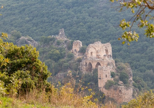צילום: בוני שיינמן, קקל