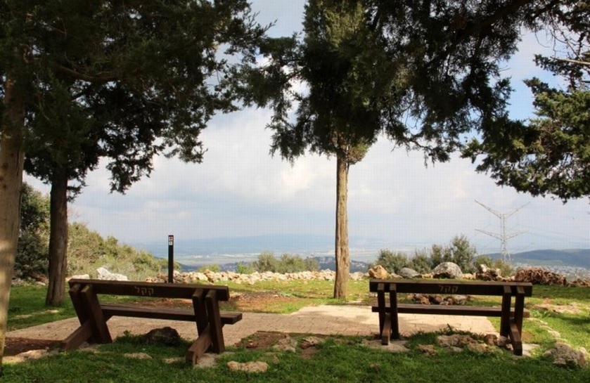 צילום: יעקב שקולניק, ארכיון הצילומים של קקל