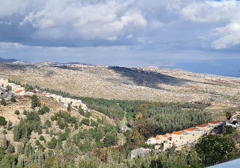 יער קהילתי פסגת זאב-נווה יעקב (מיר). צילום: קסניה ז'ורבל