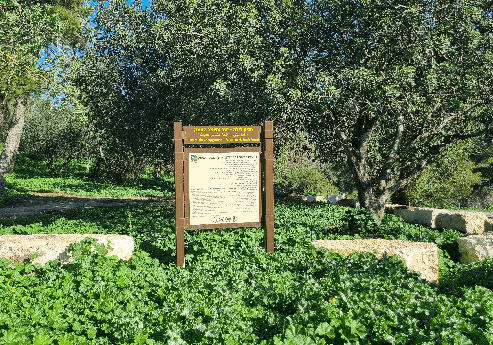 חניון לילה משמר העמק. צילום: טליה בקר, ארכיון הצילומים של קקל