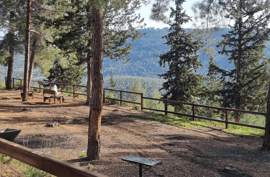 תצפית נוף עש פרלשטיין. צילום: עדי טנא נתן