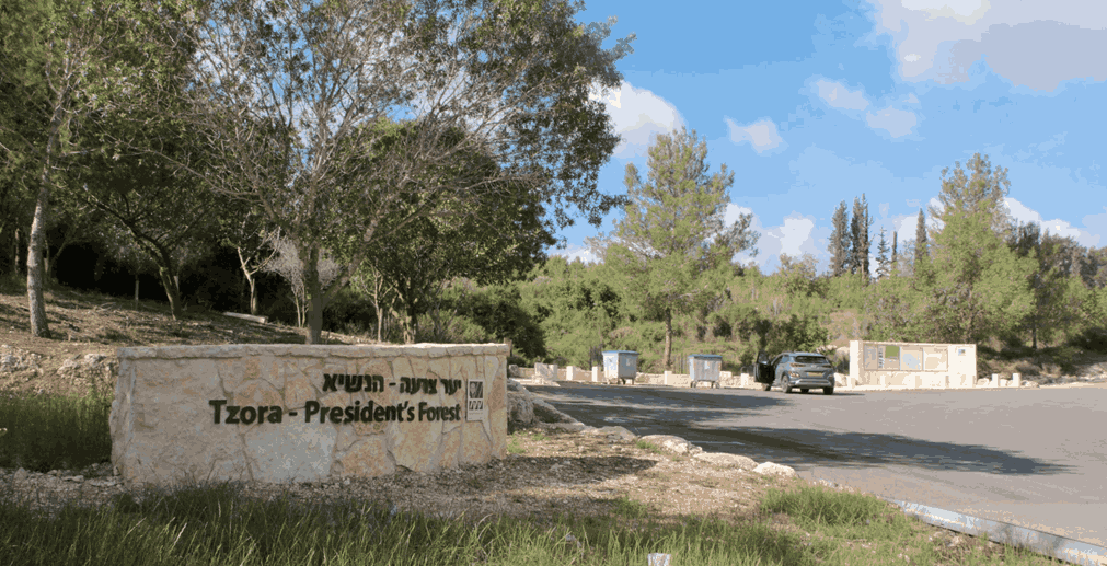 דרך הפסלים ביער צרעה (יער הנשיא)