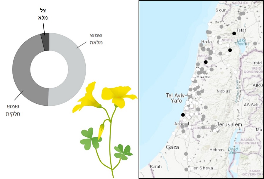 מפת רמת הצללה