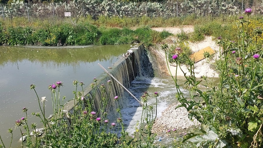 צילום: מיכל וימר לוריא