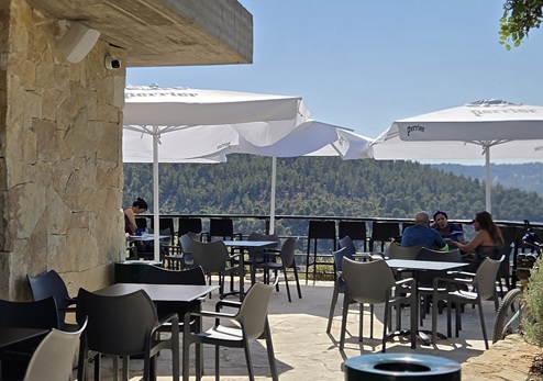 סטף - מוקד יערני