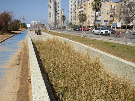 הביופילטר בבת ים.  צילום: יואב דביר

הביופילטר בבת ים.  צילום: יואב דביר

הביופילטר בבת ים.  צילום: יואב דביר

הביופילטר בבת ים.  צילום: יואב דביר