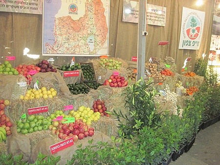 התערוכה במסגרת היום הפתוח במו''פ צפון, 2012.  צילום: יואב דביר