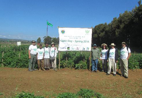 משתתפי יום העיון בחלקת המחקר באתיופיה.  צילום: ארכיון צילומי קקל