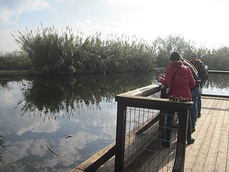 תצפית בפארק אגמון החולה.  צילום: יואב דביר