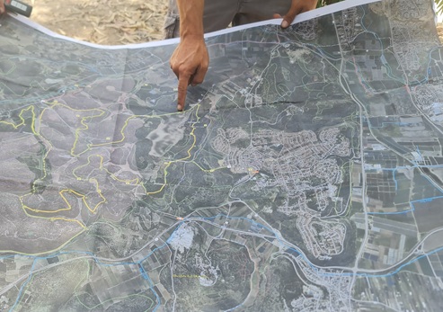 נתוני ממ"ג בתחום מידע מנהלי