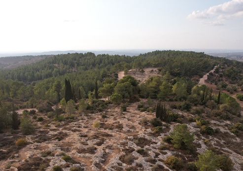 נתוני ממ"ג בתחום ייעור וסביבה