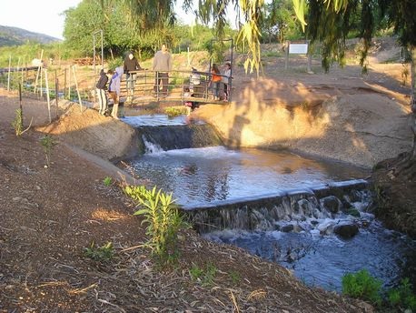 גשר מעל נחל געתון. צילום: כליל אדר, ארכיון צילומי קק''ל
