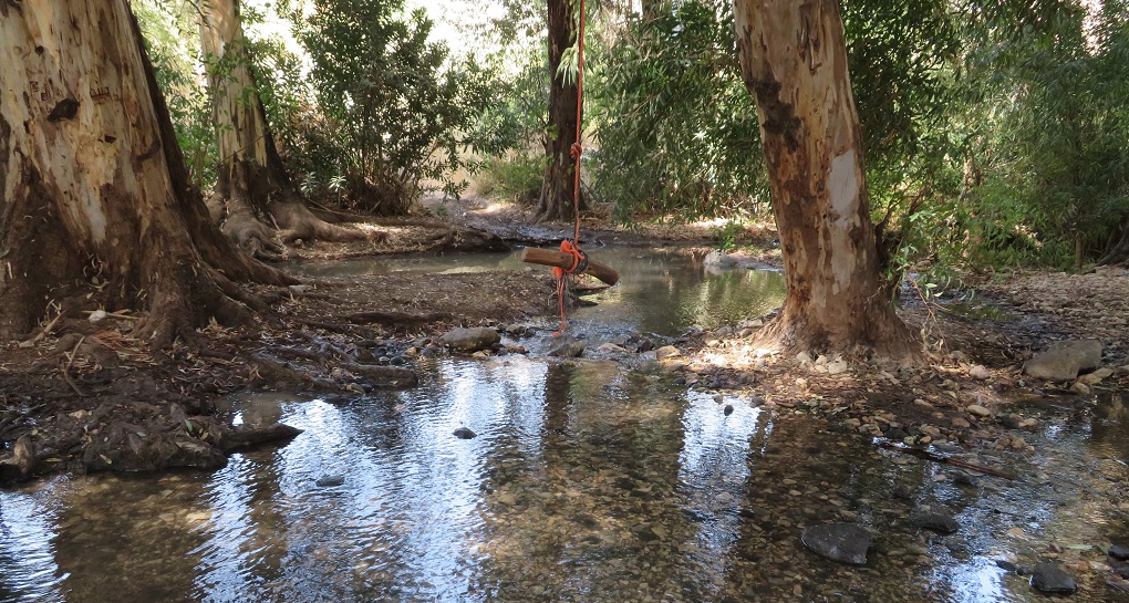 עין ירדה, נחל מחניים. צילום: דר אורית סקוטלסקי