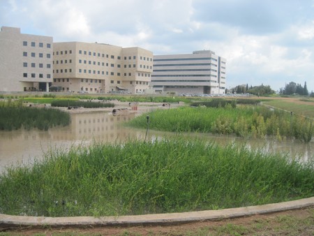 אגנים ירוקים. צילום: ארכיון צילומי קקל