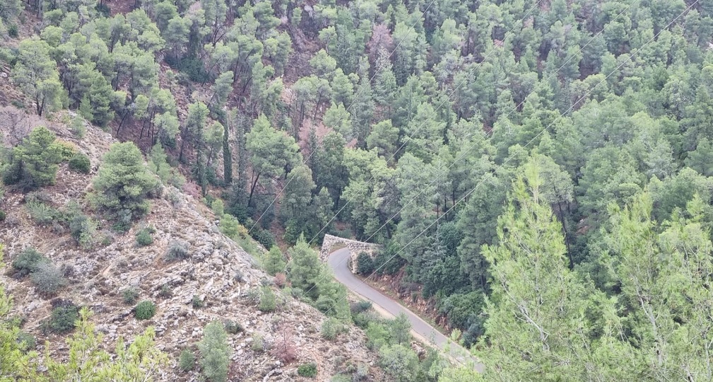 Photographie: Naomi Aviv Rosen, KKL-JNF