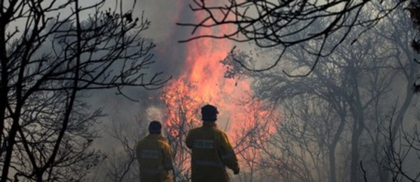 Photographie : Archives photographiques KKL-FNJ